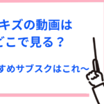 スキズのライブ配信動画等はどこで見れる?StrayKidsのおすすめサブスクはこれ!